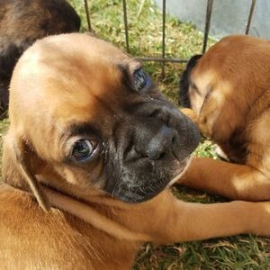 Meet your Posher, Aaron